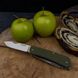 Многофункциональный нож Ruike Criterion Collection L42 зеленый L42-G фото 4