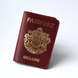 Обложка для паспорта "Passport+большой Герб" 45-01 фото