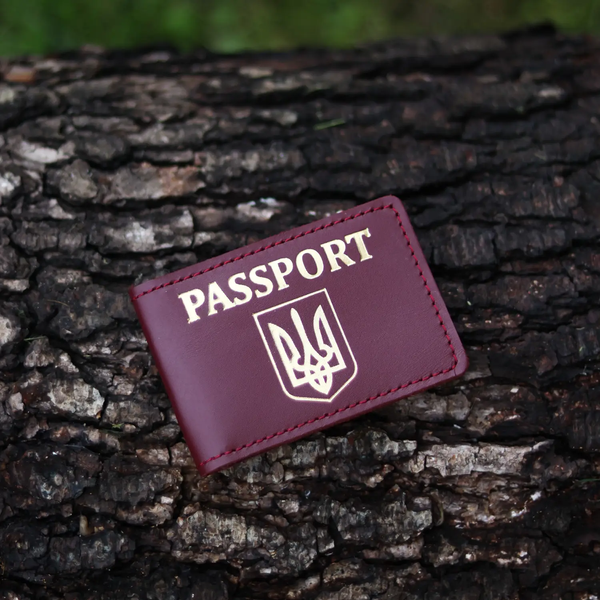 Обкладинка для ID-паспорта "Герб України+Passport" 108-011 фото